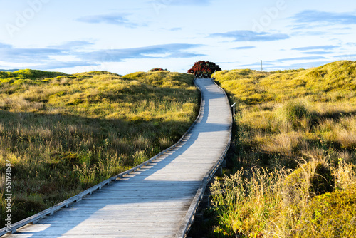 Wooden walkway leading through dunes to Papamoa ocean beach in morning light photo