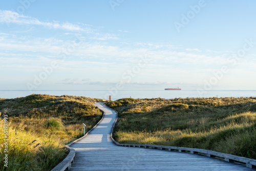 Wooden walkway leading through dunes to Papamoa ocean beach in morning light