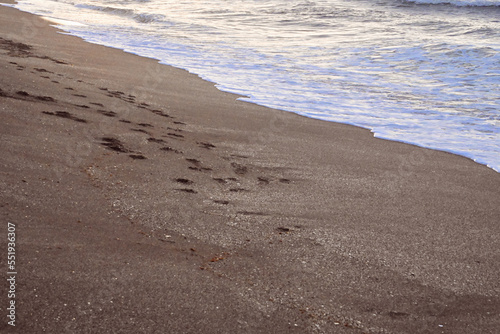 Sea Waves Breaking On A Sandy Beach