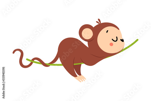 Cute Playful Monkey with Long Tail Sleeping Lying on Liana Vector Illustration