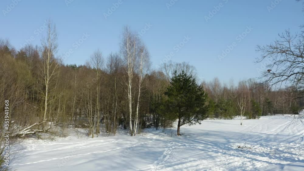 Drone shot flying on winter forest, aerial bird-eye view.
Drone shot flying on winter forest, aerial bird-eye view.