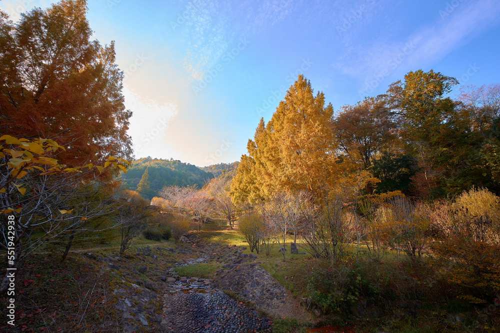 Fototapeta premium 日本の紅葉した山の風景