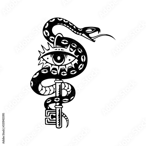 vector illustration of a key with a snake photo