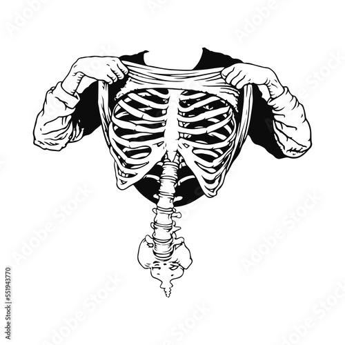 vector illustration showing ribs concept