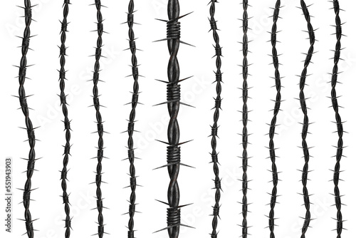 Barbed wire. Spiked metal wire. Steel coiled cord with spearhead. Sharp spikes on metal wire. Steel hawser isolated on white. Set of prickly hawser in different sizes. Realistic style. 3d image. photo