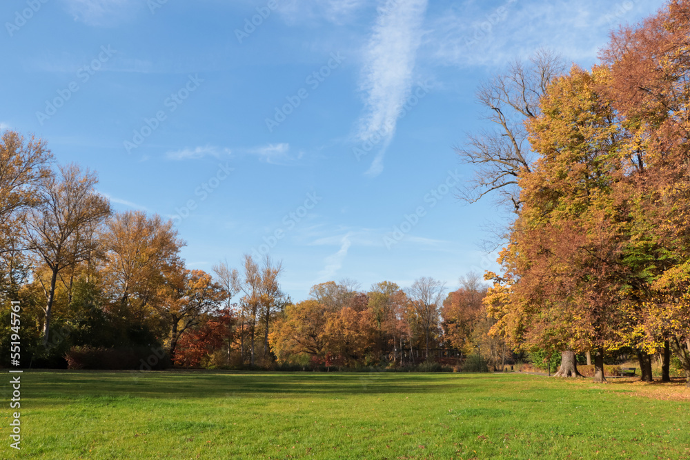Picturesque view of park with beautiful trees and green grass on sunny day. Autumn season Picturesque view of park with beautiful trees and green grass on sunny day. Autumn season