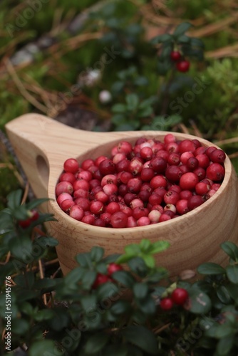 Many ripe lingonberries in wooden cup outdoors