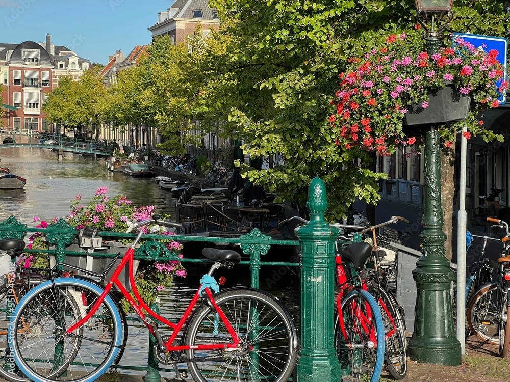 View of bicycles and beautiful plants near canal on city street