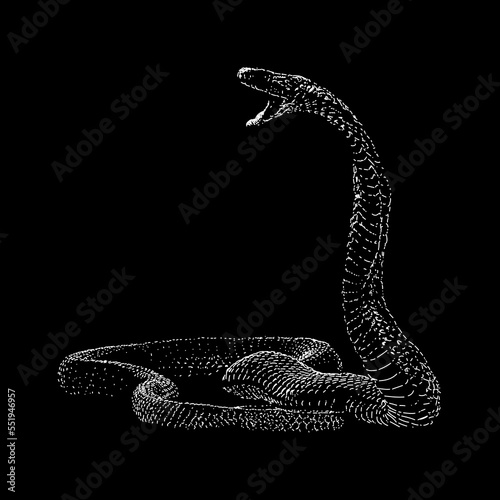 Egyptian Cobra hand drawing vector isolated on black background.