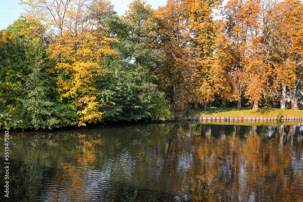 Fototapeta premium Picturesque view of river and trees in beautiful park. Autumn season