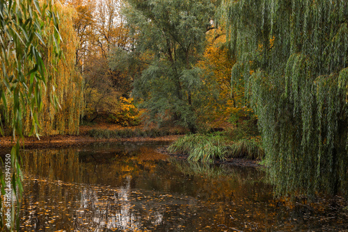 Beautiful park with yellowed trees and lake