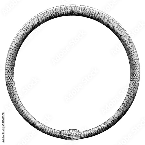 Illustration of a Ouroboros in a vintage etched, woodcut style. 