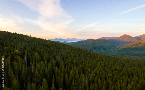 Aerial view of amazing scenery with dark mountain hills covered with forest pine trees at autumn sunrise. Beautiful wild woodland at dawn