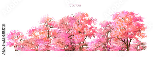 Vector watercolor blooming flower,tree or forest side view isolated on white background for landscape and architecture drawing,elements for environment and garden,botanical for section in spring