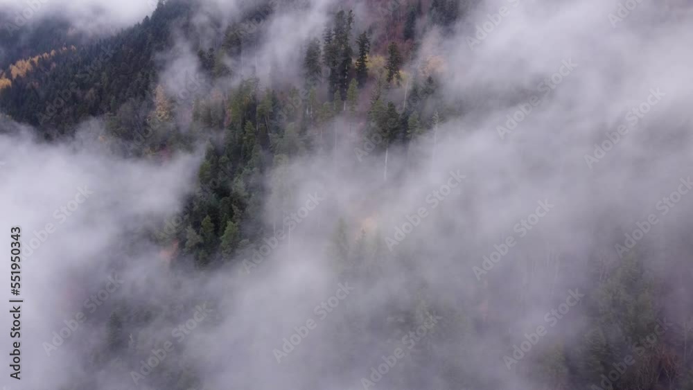 Aerial tilting view of late fall trees during autumn with clouds passing in Vosges, France. 4K Aerial tilting view of late fall trees during autumn with clouds passing in Vosges, France. 4K