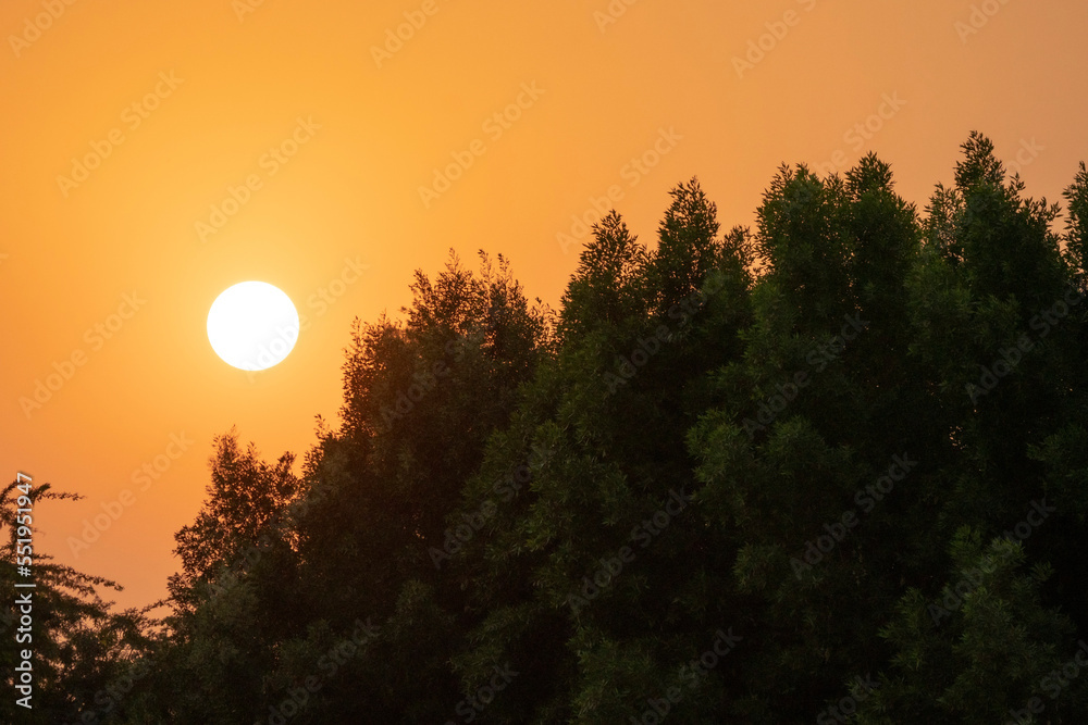 sun set with trees sun set with trees
