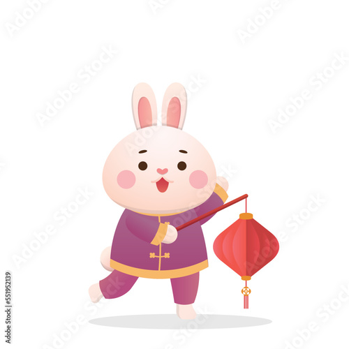 Cute rabbit character or mascot with red lantern, Chinese New Year or Lantern Festival or Winter Solstice, traditional festival and culture in Asia