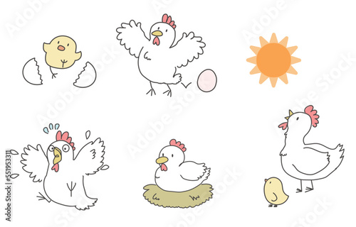 ひよことにわとり 親子 たまご シンプルイラスト1