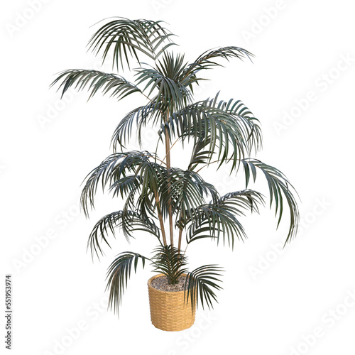 houseplant in the potted 3d illustrations