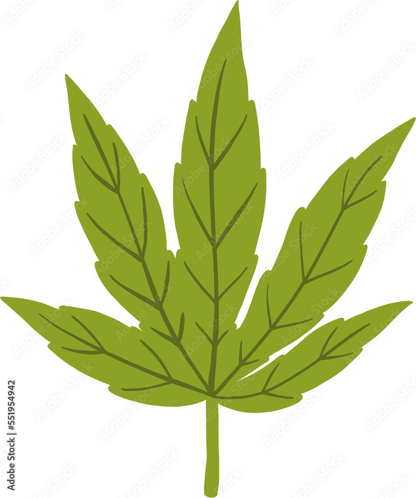 cannabis leaf freehand drawing. cannabis leaf freehand drawing.