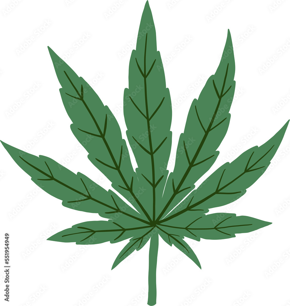 cannabis leaf freehand drawing. cannabis leaf freehand drawing.