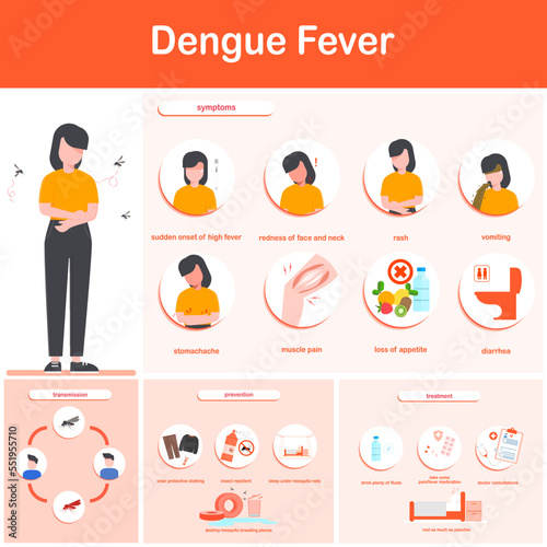Vector illustration infographics dengue fever symptoms, transmission, prevention and treatment, and transmission of dengue fever. Flat design.