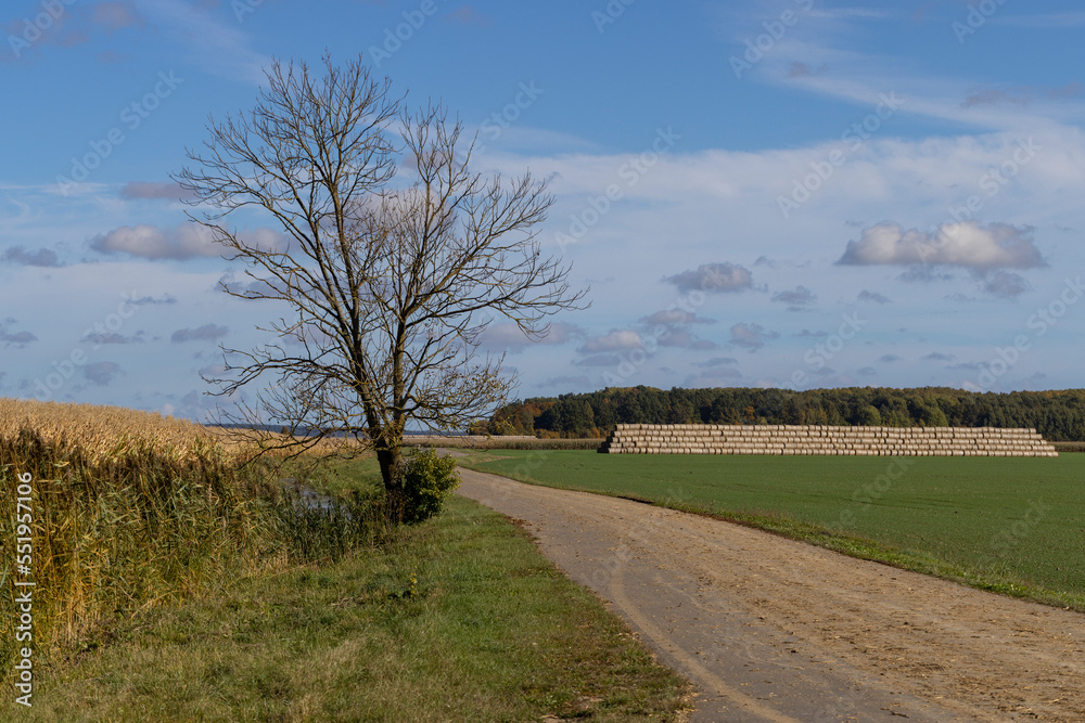 Obraz premium A straight highway without cars