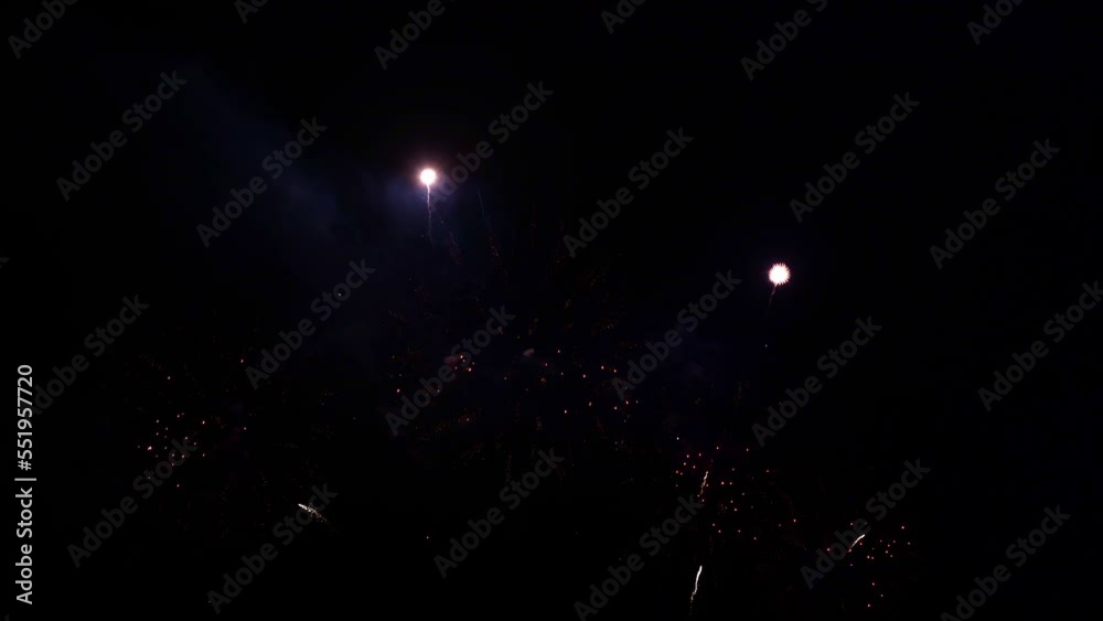 A black sky fills with fireworks.