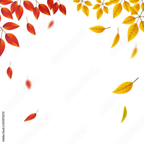 autumn fallen leaves frame
