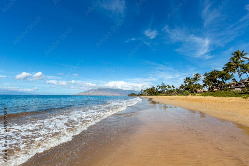 Hawaii's sunny beaches