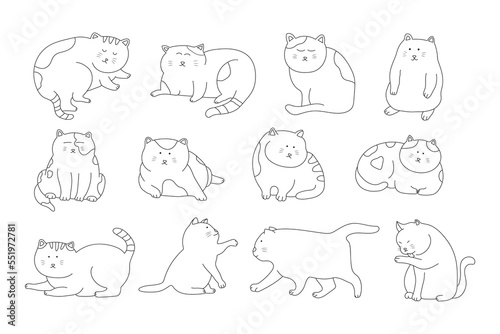 hand drawn Vector illustration set of cute cats icon in doodle style