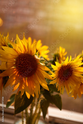 Bunch of sunflowers in vase on windowsill © leravalera89