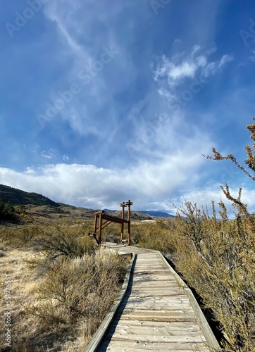 Osoyoos Desert Center, one of the world’s rarest ecosystems, in British Columbia, Canada photo
