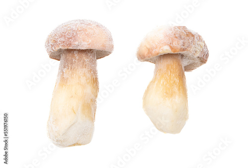 Frozen boletus mushroom isolated on white background.