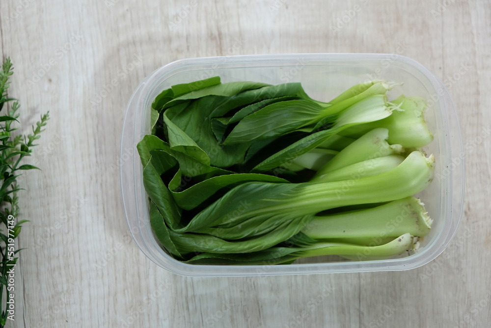 Chinese cabbage plants or bok choy vegetables on table Chinese cabbage plants or bok choy vegetables on table