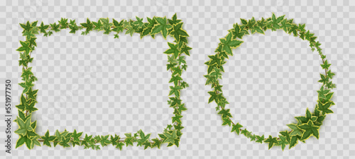 Ivy vines frames. Rectangular and circle banner borders of creeper twigs and lianas with green leaves isolated on transparent background, vector realistic illustration