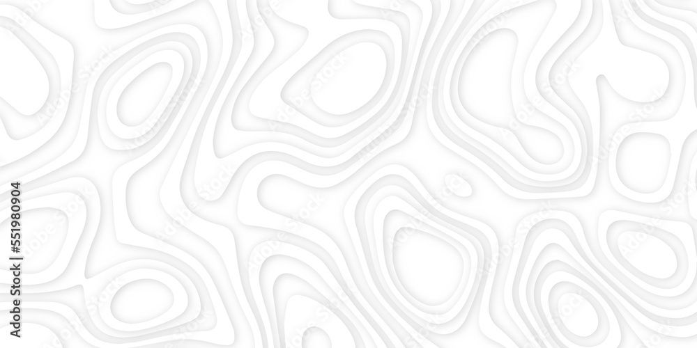 Abstract wavy line 3d paper cut white background. Topographic canyon geometric map relief texture with curved layers and shadow. Abstract realistic papercut decoration textured with wavy layers Abstract wavy line 3d paper cut white background. Topographic canyon geometric map relief texture with curved layers and shadow. Abstract realistic papercut decoration textured with wavy layers
