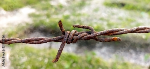 Barbed wire on a farm fence