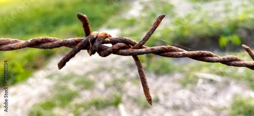 Barbed wire on a farm fence