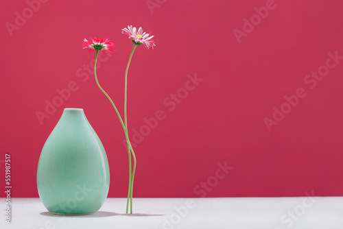 Two daisy spring flowers near a tiny green vase on table. Misplaced eccentric. Fragile. assumptions. Unordinary. Viva magenta background with copy space. Blooming flowers. Greeting card. Border banner photo