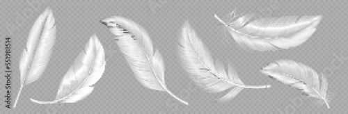 White soft feathers isolated on transparent background. Down or plume from wings of birds or angel, symbol of softness and purity. Realistic design elements, 3d vector illustration, icons set