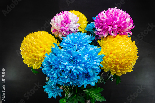 Bouquet of festive multicolored chrysanthemums