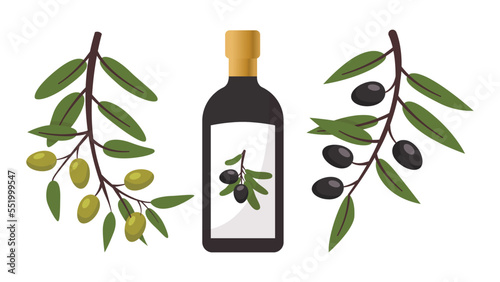 Olive vector illustration set. Black and green olive tree branches, glass bottle and jug of oil, bowl, jar, and cans. Vector illustration isolated on background for healthy food or cooking concept