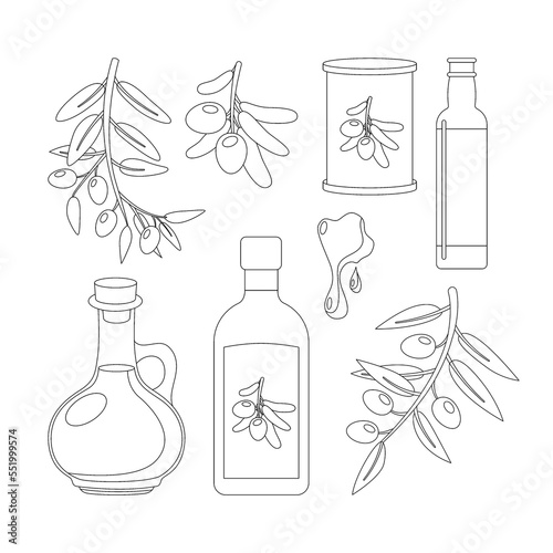 Olive vector outline set. Black and green olive tree branches, glass bottle and jug of oil, bowl, jar, and cans. Vector illustration isolated on background for healthy food or cooking concept