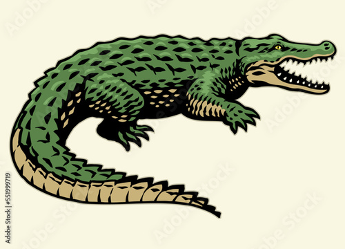 Crocodile in Hand Drawn Vintage Style