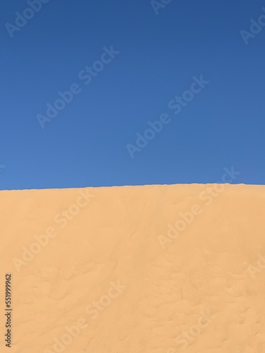 사막