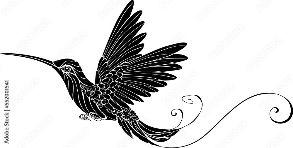 Obraz premium Black bird
