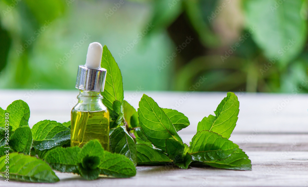 The mint extract in a small jar. The mint extract in a small jar.
