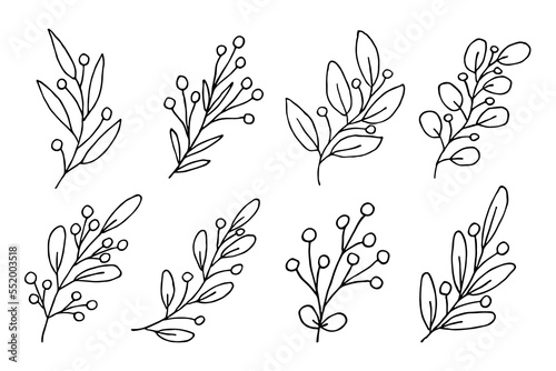 Hand drawn branch with berries clipart. Christmas doodle set. Winter design elements