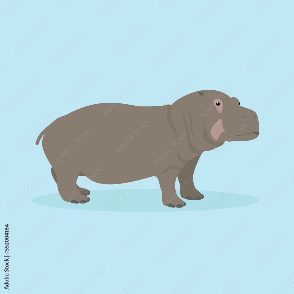Fototapeta premium Hippo, side view - illustration, cartoon, vector